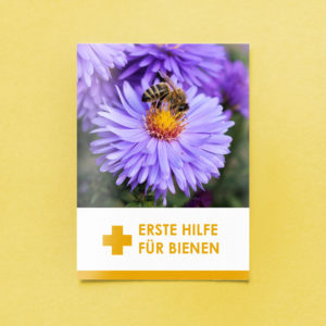 Erste Hilfe für Bienen